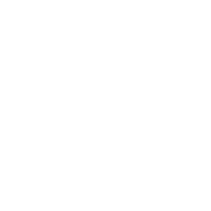 amaryllis